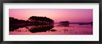 Panoramic View Of The National Forest During Sunset, Chincoteague National Wildlife Refuge, Virginia, USA Fine Art Print