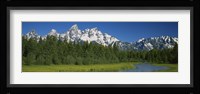 Trees along a river, Near Schwabachers Landing, Grand Teton National Park, Wyoming Fine Art Print