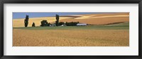 Farm, Saint John, Washington State, USA Fine Art Print