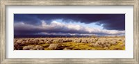 Clouds, Mojave Desert, California, USA Fine Art Print
