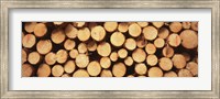 Marked Wood In A Timber Industry, Black Forest, Germany Fine Art Print