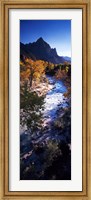 High angle view of a river flowing through a forest, Virgin River, Zion National Park, Utah, USA Fine Art Print