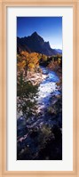 High angle view of a river flowing through a forest, Virgin River, Zion National Park, Utah, USA Fine Art Print