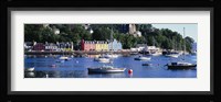 Boats docked at a harbor, Tobermory, Isle of Mull, Scotland Fine Art Print