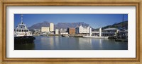 Boats Docked At A Harbor, Cape Town, South Africa Fine Art Print