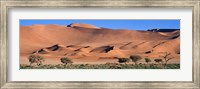 Africa, Namibia, Namib Desert Fine Art Print