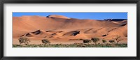 Africa, Namibia, Namib Desert Fine Art Print