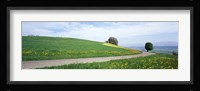 Road Fields Aargau Switzerland Fine Art Print