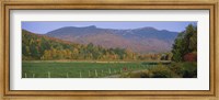 Woman cycling on a road, Stowe, Vermont, USA Fine Art Print