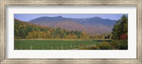 Woman cycling on a road, Stowe, Vermont, USA Fine Art Print