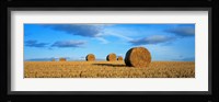 Hay Bales, Scotland, United Kingdom Fine Art Print