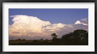 Clouds over a forest, Moremi Game Reserve, Botswana Fine Art Print