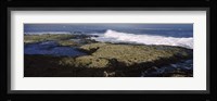 Rock formations at the coast, Fernandina Island, Galapagos Islands, Ecuador Fine Art Print
