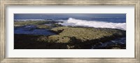 Rock formations at the coast, Fernandina Island, Galapagos Islands, Ecuador Fine Art Print