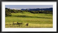Agricultural equipment in a field, Pikes Peak, Larkspur, Colorado, USA Fine Art Print