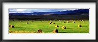 Haystacks, Field, Jackson County, Colorado, USA Fine Art Print