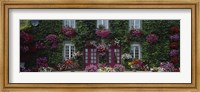 Flowers Breton Home Brittany France Fine Art Print