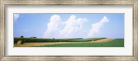 Hay bales in a field, Jo Daviess county, Illinois, USA Fine Art Print