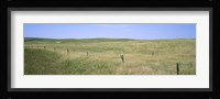 Grass on a field, Cherry County, Nebraska, USA Fine Art Print