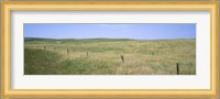 Grass on a field, Cherry County, Nebraska, USA Fine Art Print