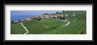 Vineyards overlooking Lake Geneva, Switzerland Fine Art Print