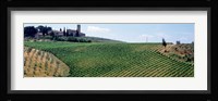 Vineyards and Olive Grove outside San Gimignano Tuscany Italy Fine Art Print
