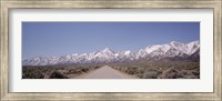 USA, California, Sierra Nevada, Bushes on both sides of a road Fine Art Print