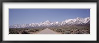 USA, California, Sierra Nevada, Bushes on both sides of a road Fine Art Print
