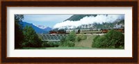 Train on a bridge, Bohinjska Bistrica, Slovenia Fine Art Print