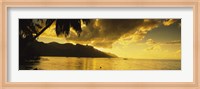 Silhouette Of Palm Trees At Dusk, Cooks Bay, Moorea, French Polynesia Fine Art Print