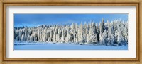 Winter Wawona Meadow Yosemite National Park CA USA Fine Art Print