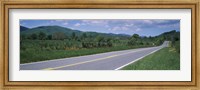 Road passing through a landscape, Virginia State Route 231, Madison County, Virginia, USA Fine Art Print