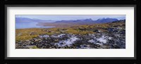 Lake on a landscape, Njulla, Lake Torne, Lapland, Sweden Fine Art Print