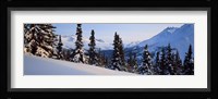 Winter Chugach Mountains AK Fine Art Print