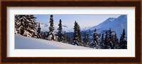 Winter Chugach Mountains AK Fine Art Print