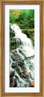 Ganoga Falls Ricketts Glenn State Park PA Fine Art Print