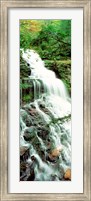 Ganoga Falls Ricketts Glenn State Park PA Fine Art Print