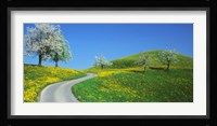 Winding Road Canton Switzerland Fine Art Print