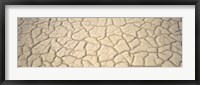 Dried Mud Death Valley CA USA Fine Art Print