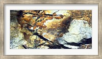 Rock Wasatch National Forest UT USA Fine Art Print