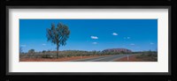 Road Ayers Rock Uluru-Kata Tjuta National Park Australia Fine Art Print