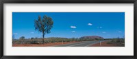 Road Ayers Rock Uluru-Kata Tjuta National Park Australia Fine Art Print
