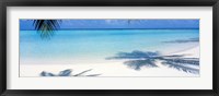Palm shadows, Laguna Maldives Fine Art Print