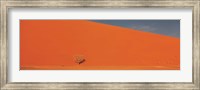 Single tree in desert Namibia Fine Art Print