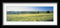 Field Near Barnstaple, North Devon, England, United Kingdom Fine Art Print