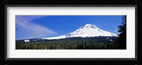 Mount Hood OR USA Fine Art Print