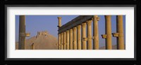 Low angle view of Great Colonnade, Palmyra, Syria Fine Art Print
