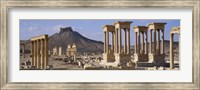 Colonnades on an arid landscape, Palmyra, Syria Fine Art Print