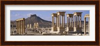 Colonnades on an arid landscape, Palmyra, Syria Fine Art Print