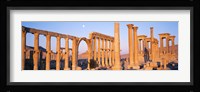 Ruins, Palmyra, Syria Fine Art Print